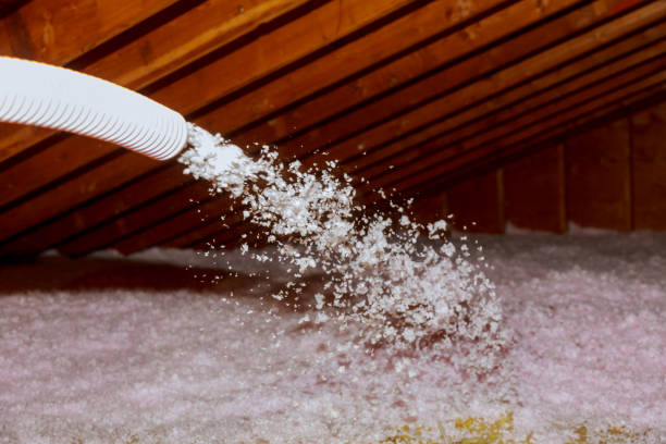 Best Home Insulation Services  in Wyndham, VA