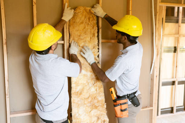 Best Blown-in Insulation  in Wyndham, VA